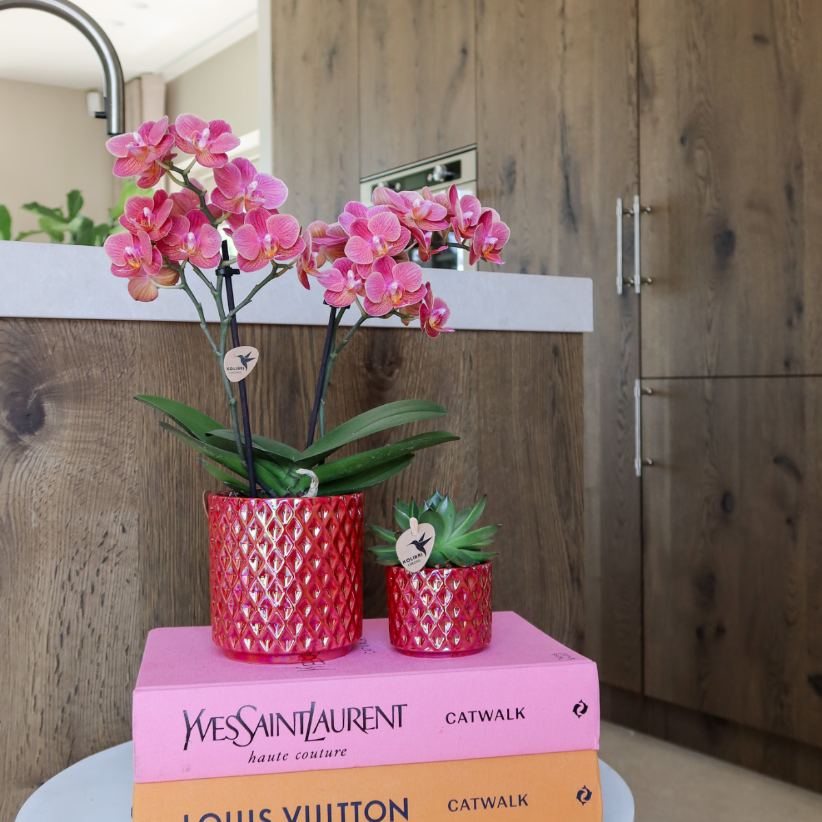 Orchidee Hummingbird | orchidea phalaenopsis rossa Congo + Diamond Pearl Pot rossa - dimensioni del vaso Ø9cm | pianta da appartamento fiorita - fresca dal coltivatore