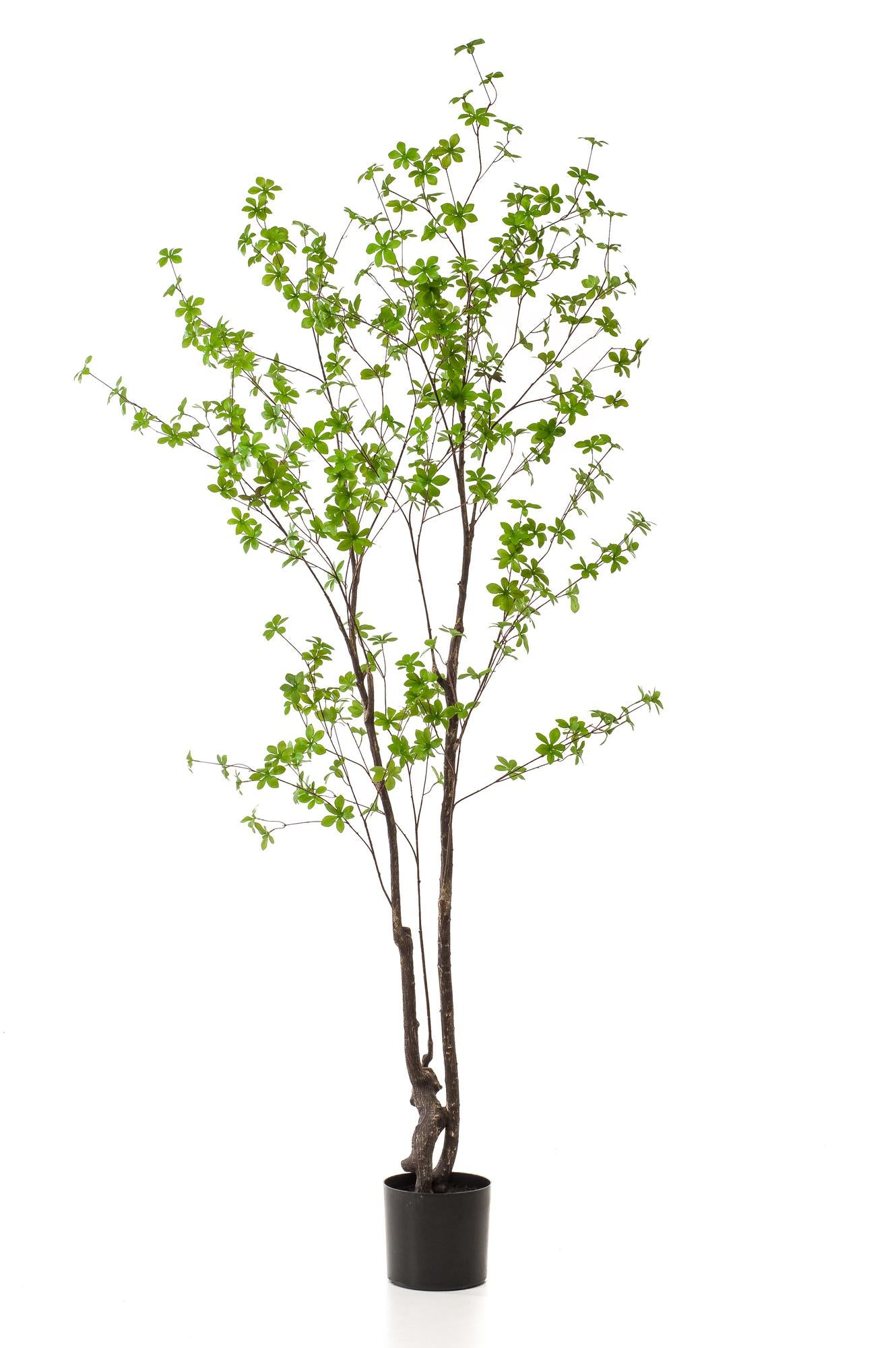 Artificial plant - Tropaeolum Speciosum - Nasturtium - 210 cm