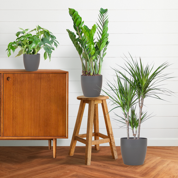 Shade Plant box - media - con vaso vibers grigio