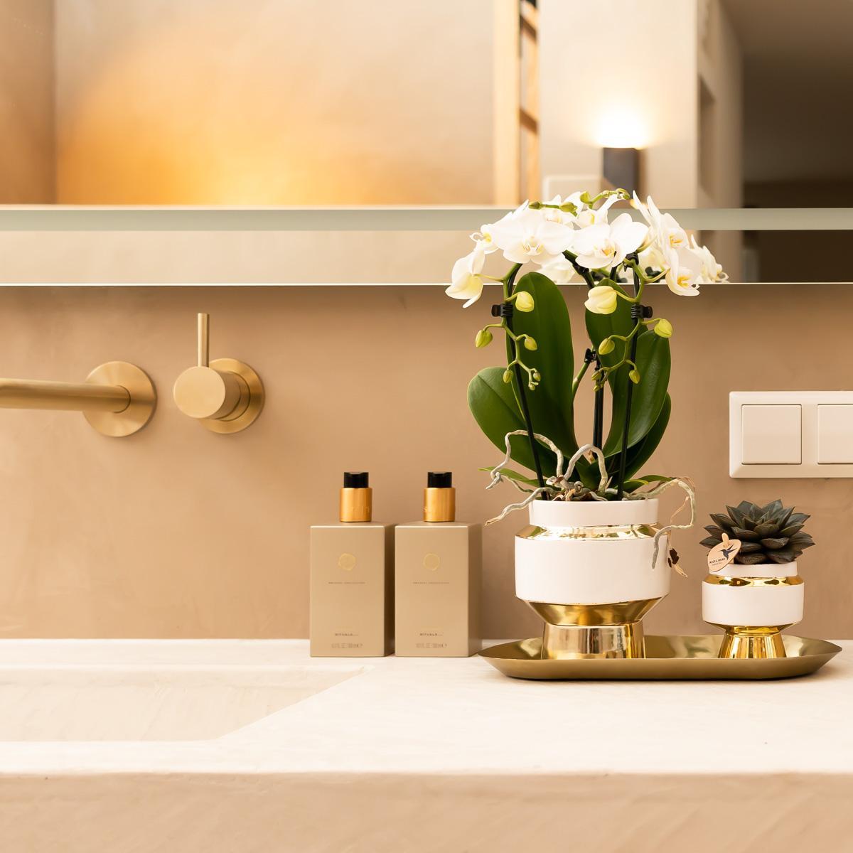 Kolibri Company - Set of White Orchid and Succulent on Gold Tray