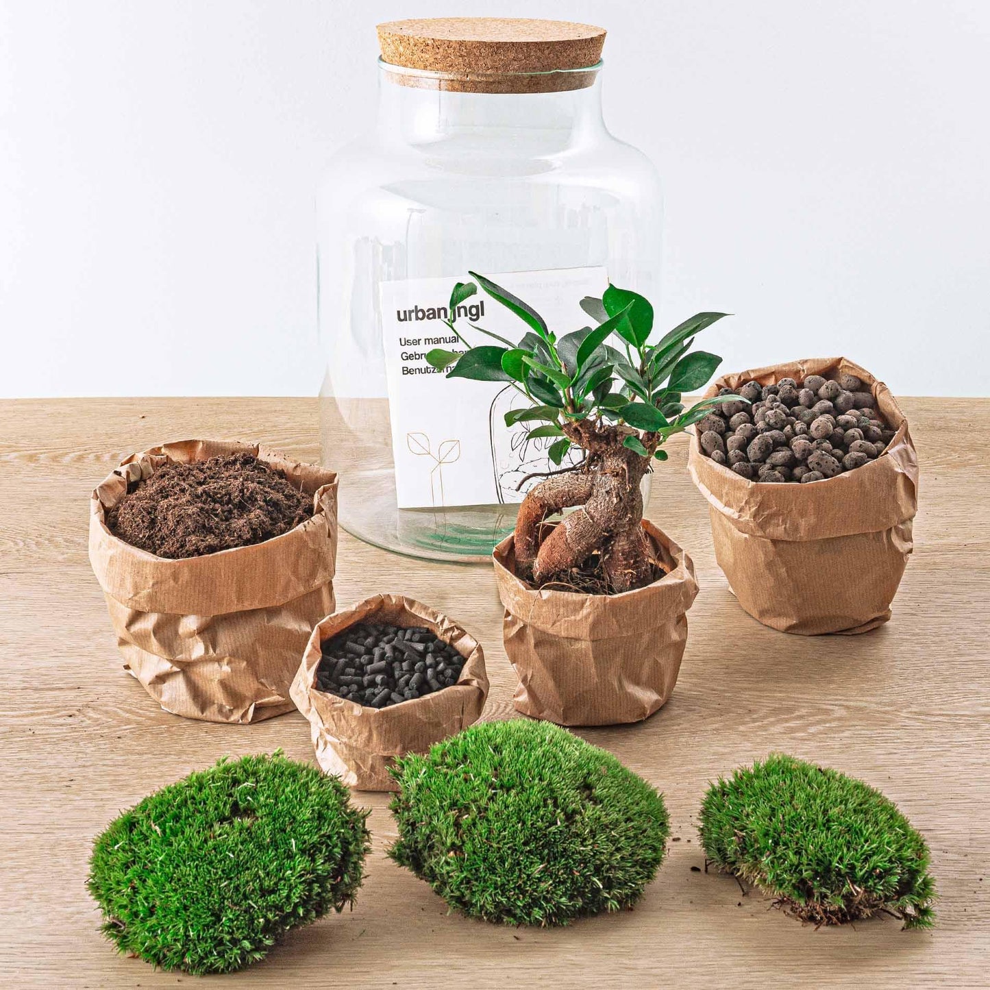 DIY terrarium - Milky with bonsai - ↕ 30 cm + RSTS - Rake + Shovel + Tweezer + Scissors