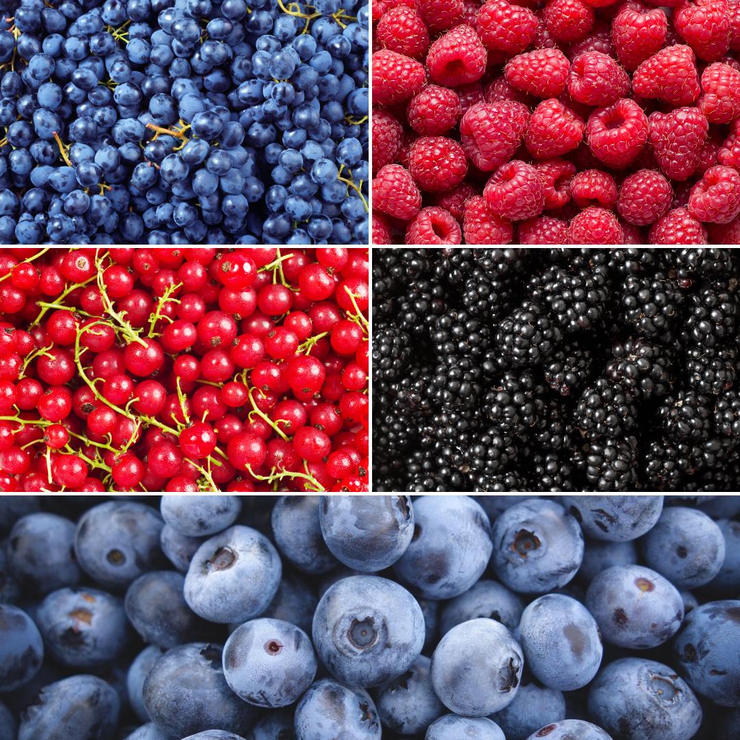 "Oasi della frutta" Set di piante da frutto BIO di 5 tipi diversi