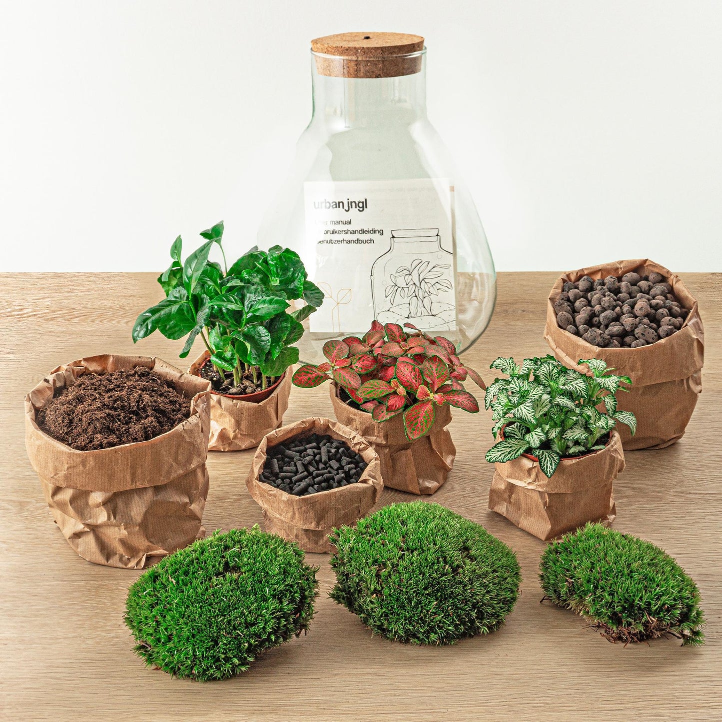 DIY terrarium - Sam Coffea with lamp - ↕ 30 cm - Rake + Shovel + Tweezer + Scissors