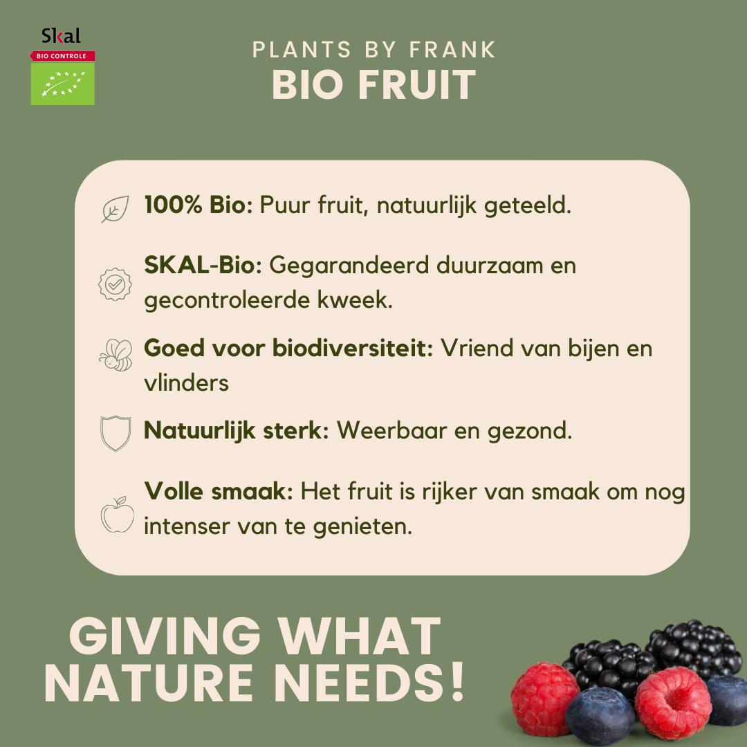 "Oasi della frutta" Set di piante da frutto BIO di 5 tipi diversi