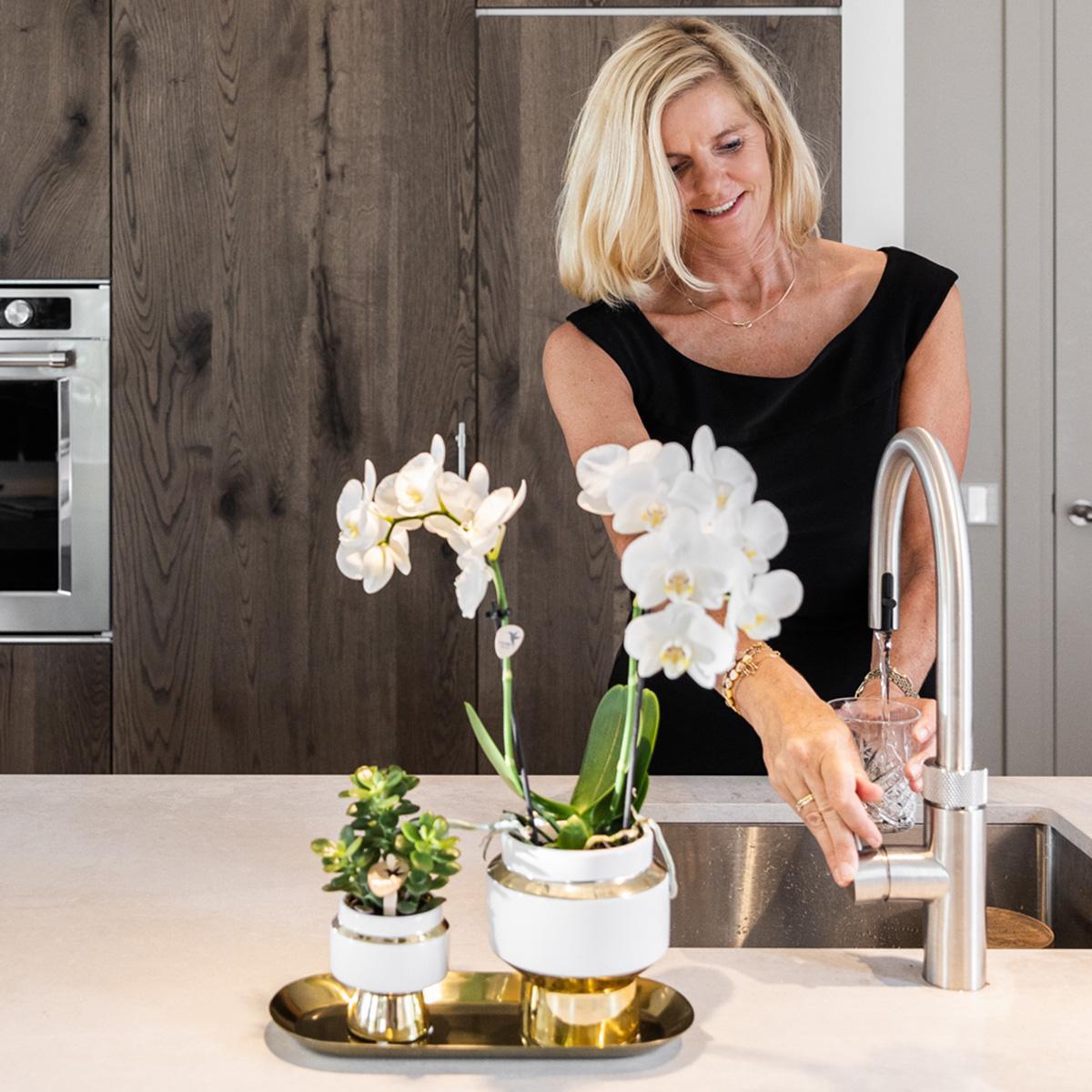 Kolibri Company - Set of White Orchid and Succulent on Gold Tray