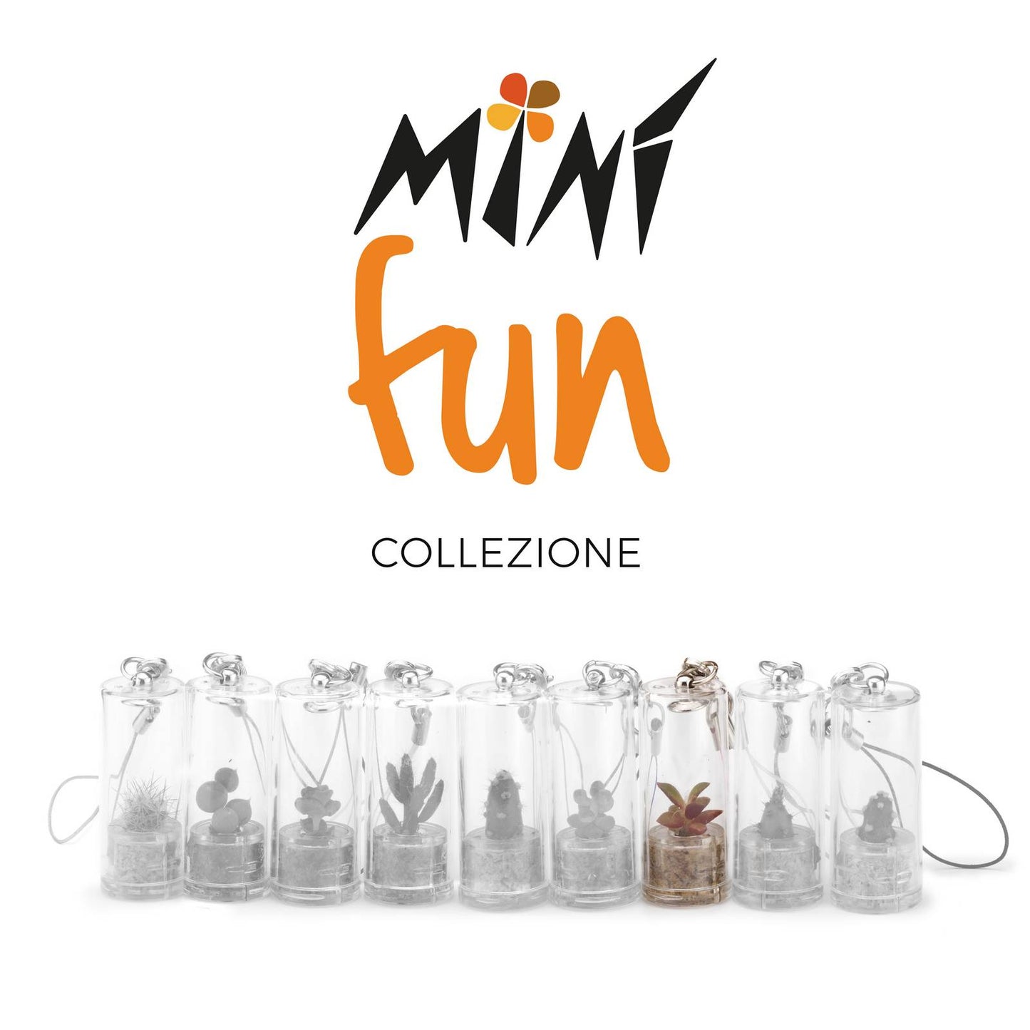 Minì Fun Angie - Mini pianta per i romantici ei sensibili