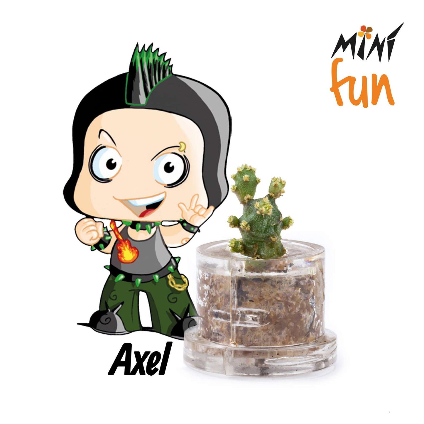 Minì Fun Gioielli Axel - Mini pianta per i determinati