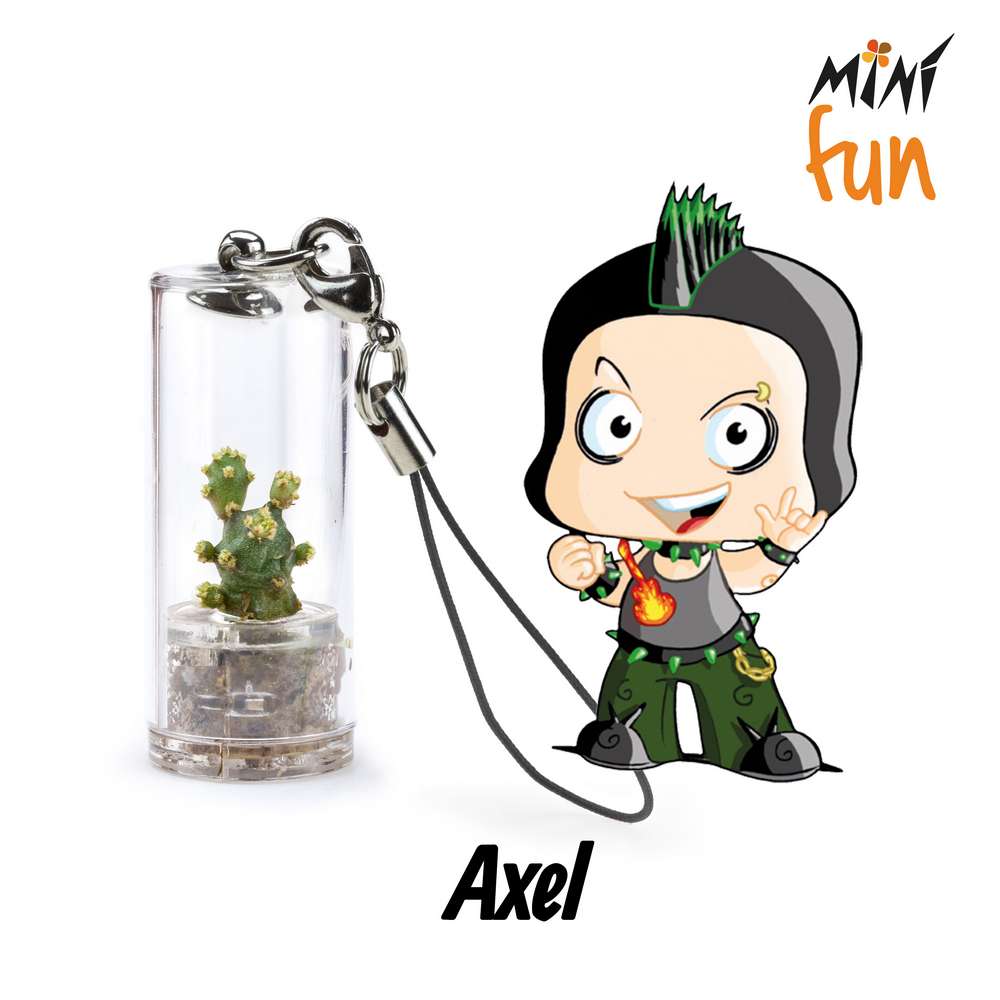 Minì Fun Axel - Mini pianta per i determinati