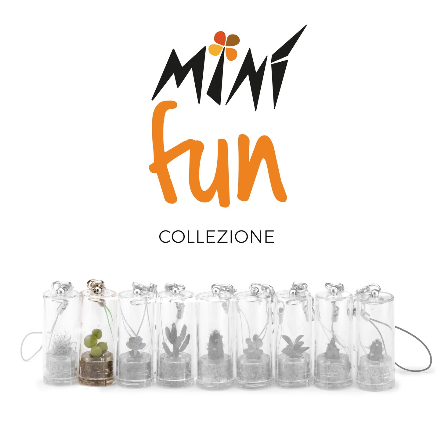 Minì Fun Eve - Mini pianta per i teneri ei delicatiti