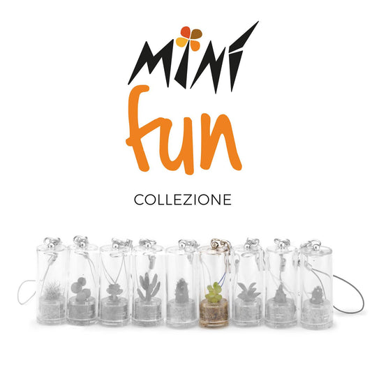 Minì Fun Floe - Mini pianta per i raffinati e gli eleganti