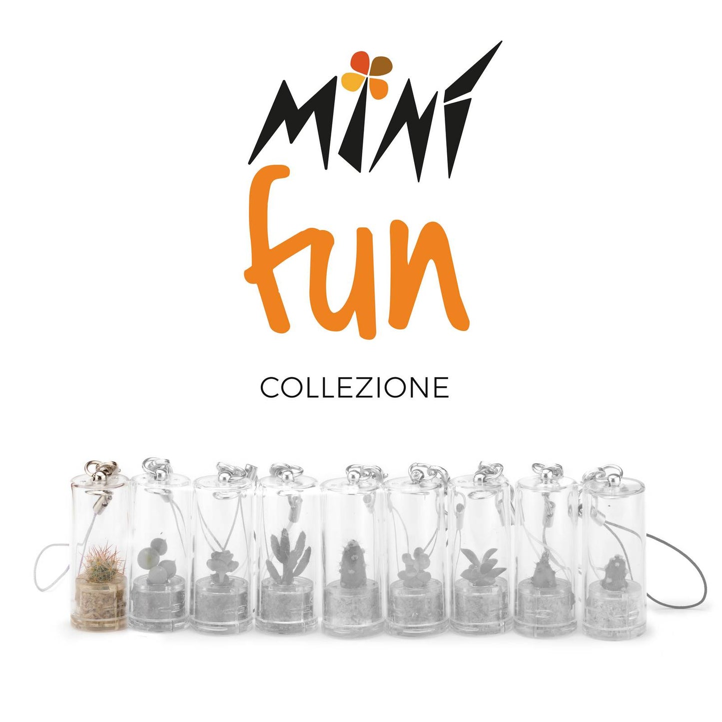 Minì Fun holly - Mini pianta per gli audaci e gli ambiziosi