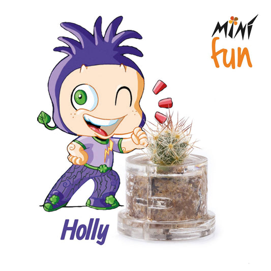 Minì Box Fun Holly - Mini pianta per gli audaci e gli ambiziosi