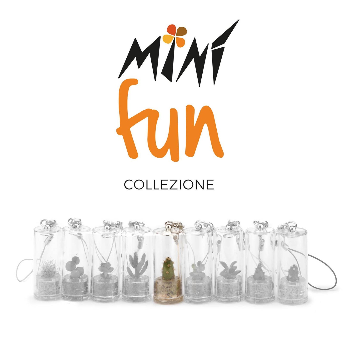 Minì Fun Joy - Mini pianta per gli allegri ei vivaci