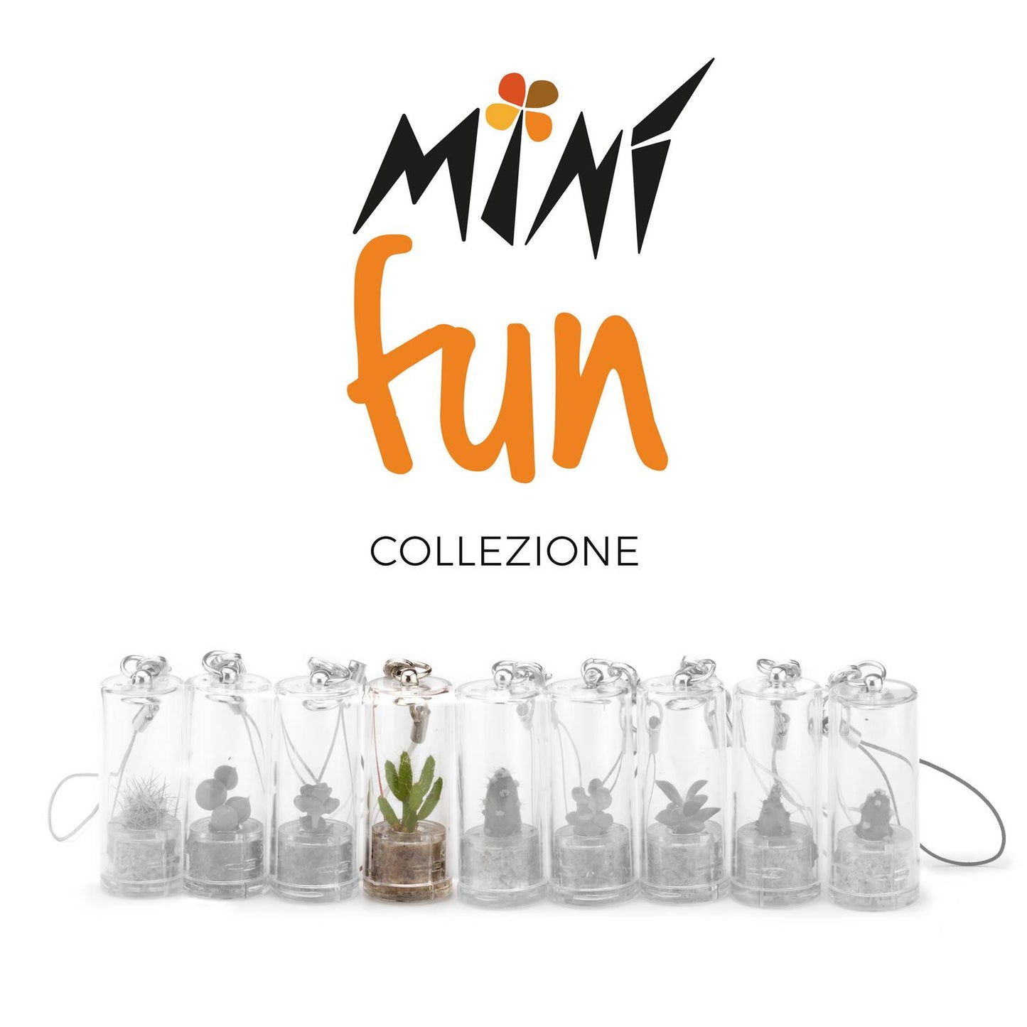 Minì Fun Kira - Mini pianta per i coraggiosi ei tenaci