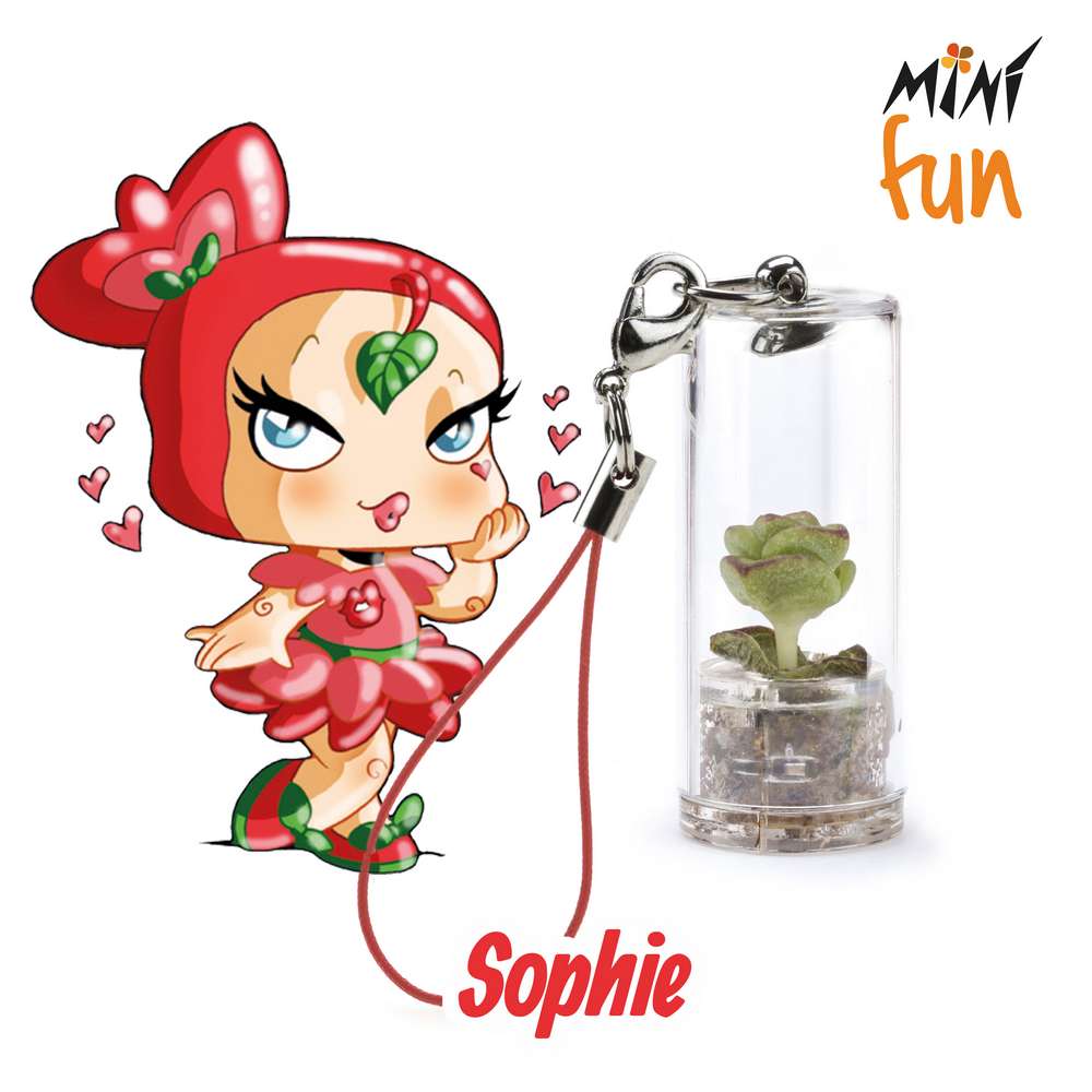 Minì Fun Sophie - Mini pianta per i capricciosi egg sensuali