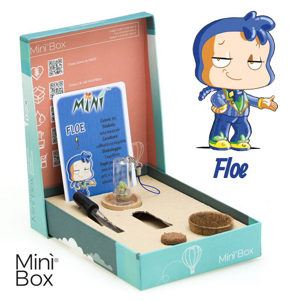 Minì Box Fun Floe - Mini piante per i raffinati e gli eleganti