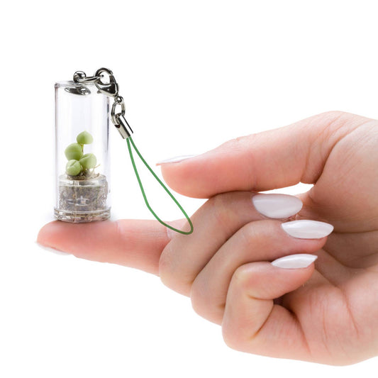 MINIFUN - EASYPACK - EVE