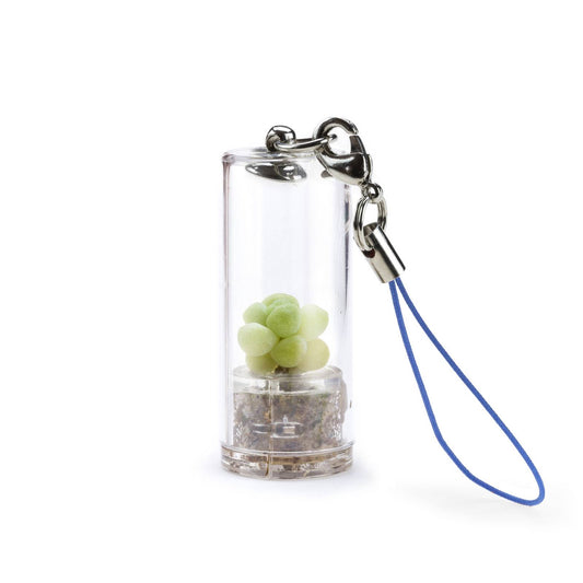 MINIFUN – EASYPACK – FLOE