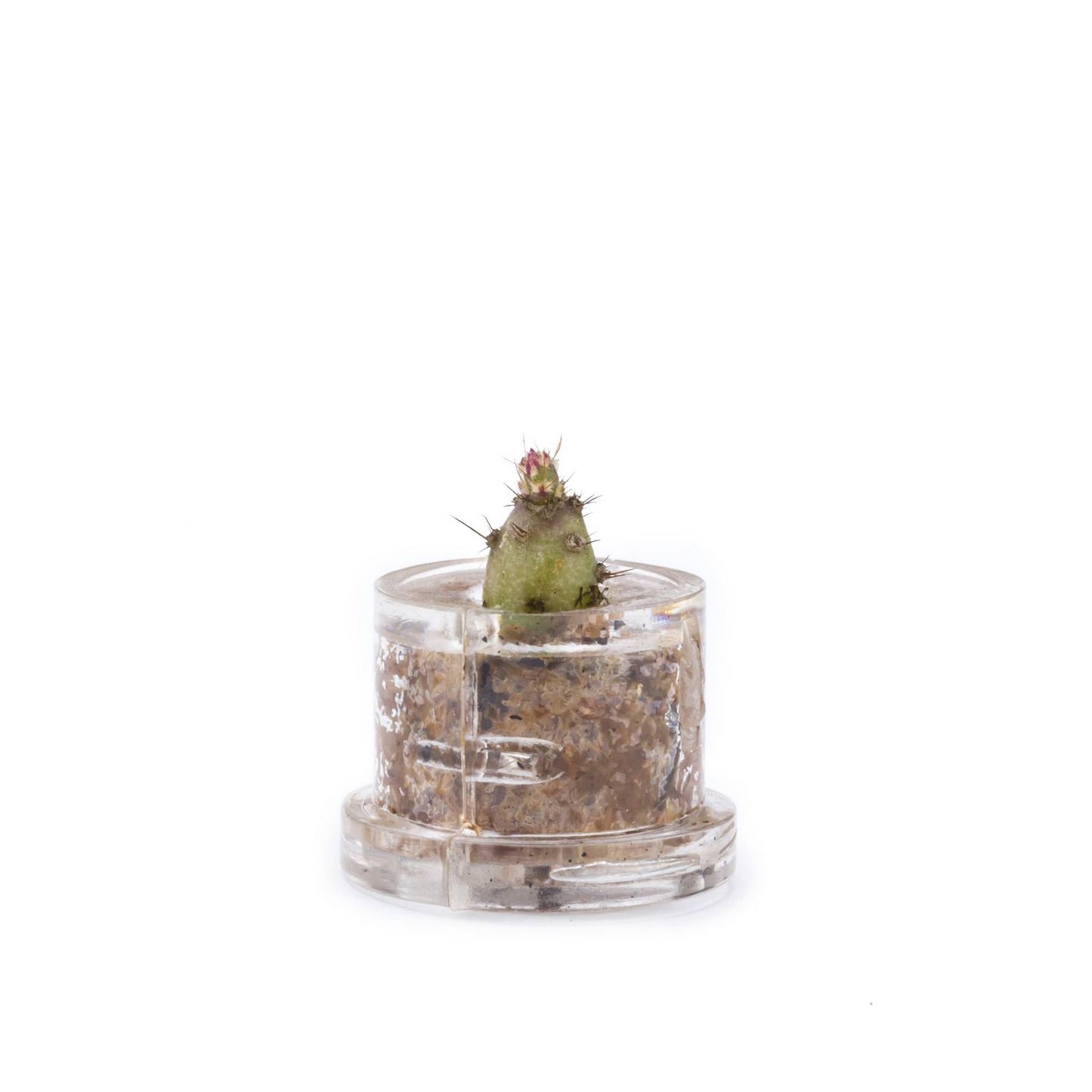 MINIFUN - EASYPACK - SUE