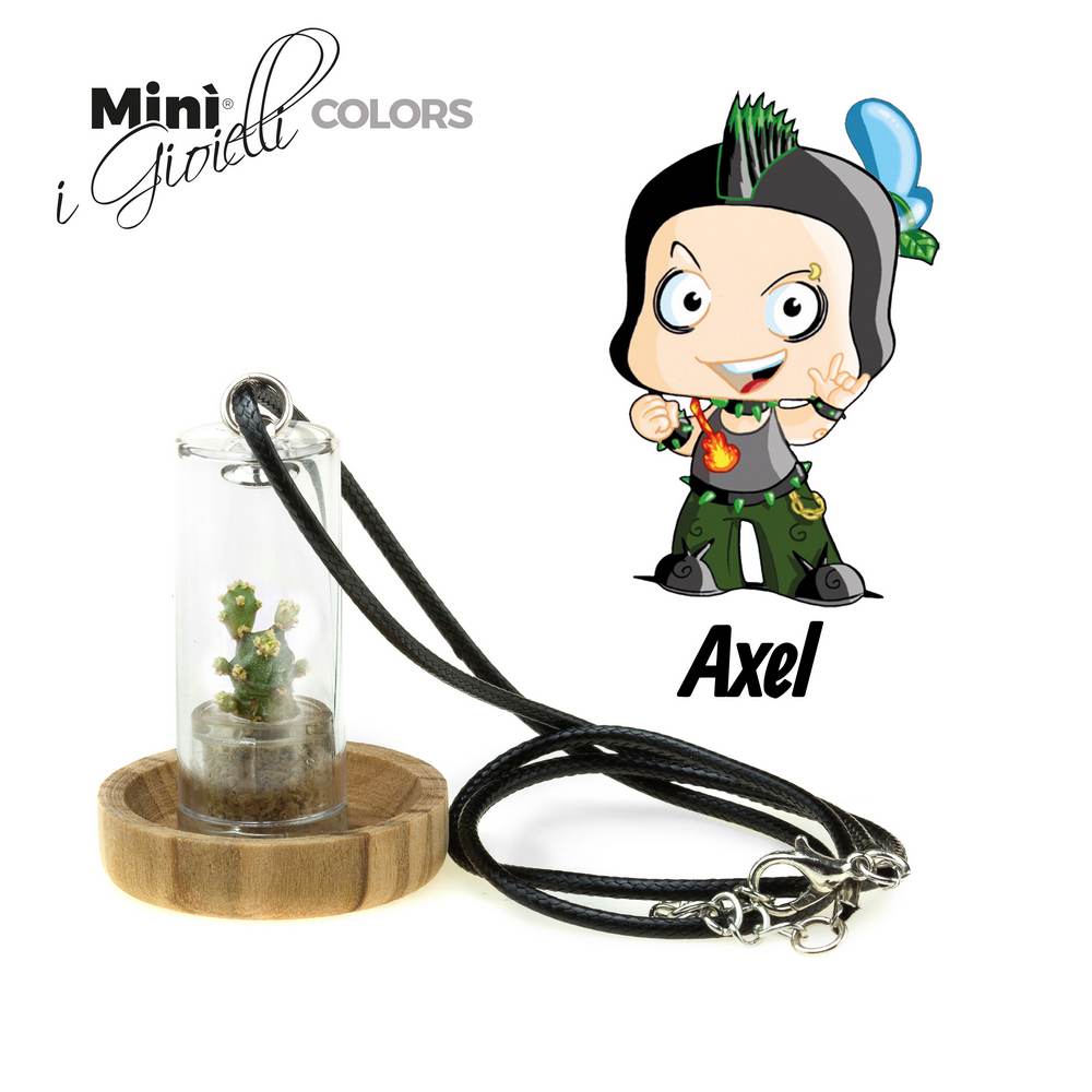 Minì Fun Gioielli Axel - Mini pianta per i determinati