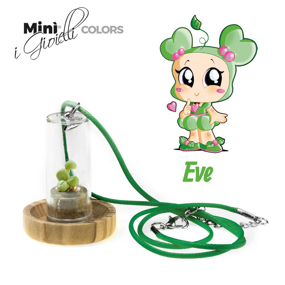 Minì Fun Gioielli Eve - Mini pianta per i teneri ei delicatiti