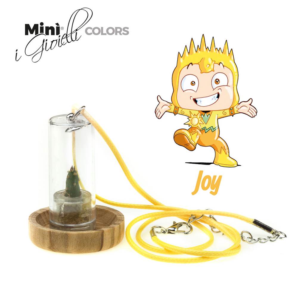 Minì Fun Gioielli Joy - Mini pianta per gli allegri ei vivaci