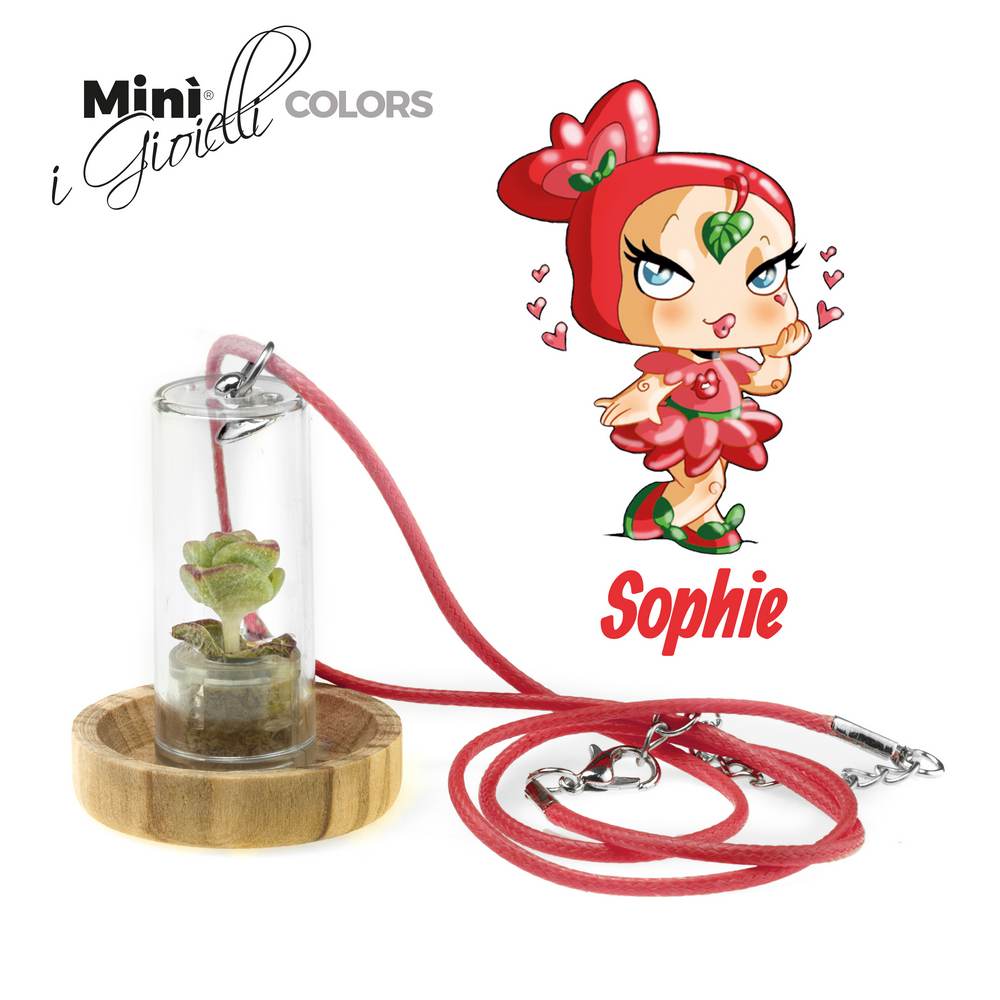 Minì Fun Gioielli Sophie - Mini pianta per i capricciosi egg sensuali