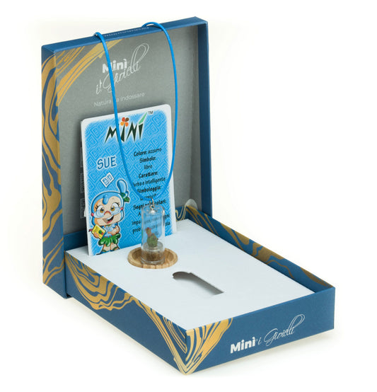 Minì Fun Gioielli Sue - Mini pianta per i saggi