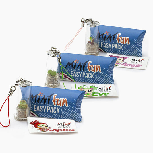 PROMO MINIFUN EASYPACK – Neem 3, betaal 2
