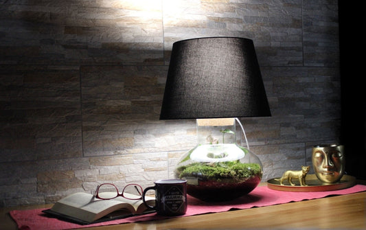 Hoe Ontstaat een Nieuw Product: Terrarium Luce Filomena