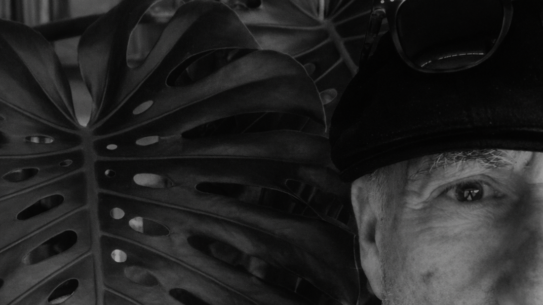 Veel Bezoeken, Weinig Vragen: Ik Ben Echt Hier Voor Jullie 🌿