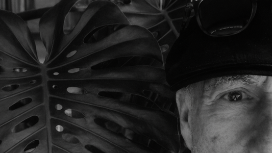 Veel Bezoeken, Weinig Vragen: Ik Ben Echt Hier Voor Jullie 🌿