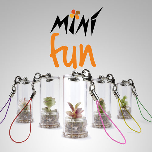 TheMiniPlants MINI miniatuurplanten