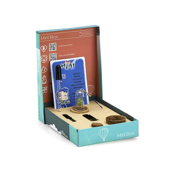 TheMiniPlants MINI Box miniatuurplanten set