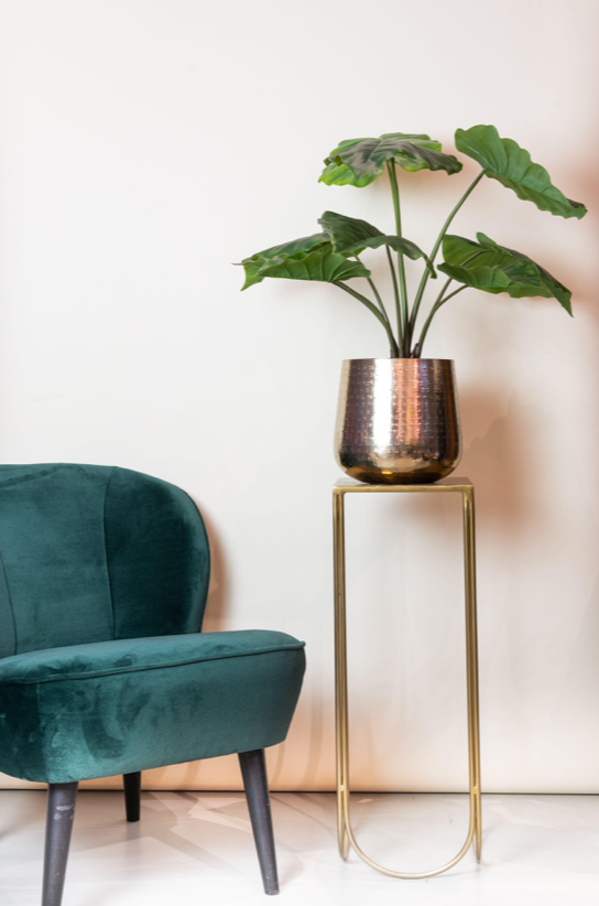Terrarium fles met LED-verlichting