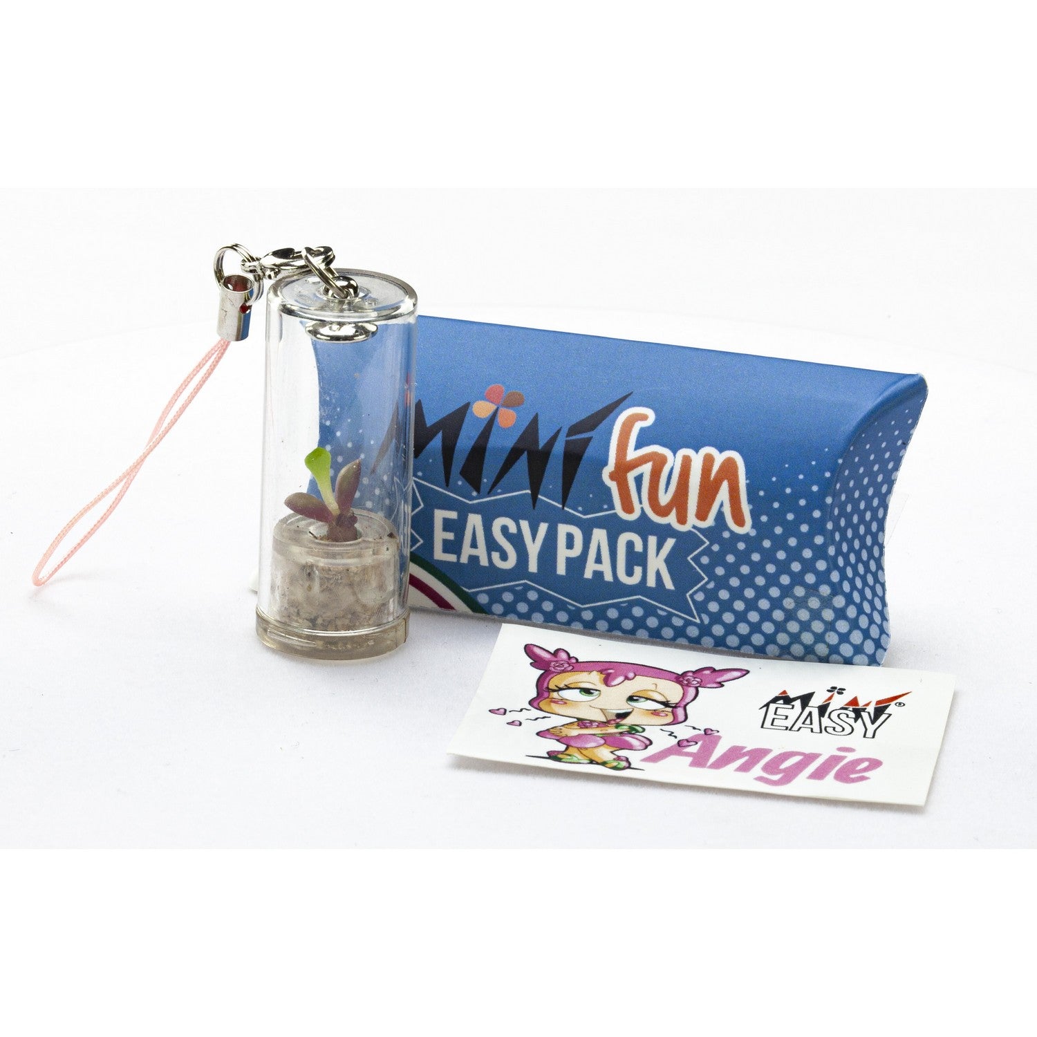 MINI Easypack mini-plantenset
