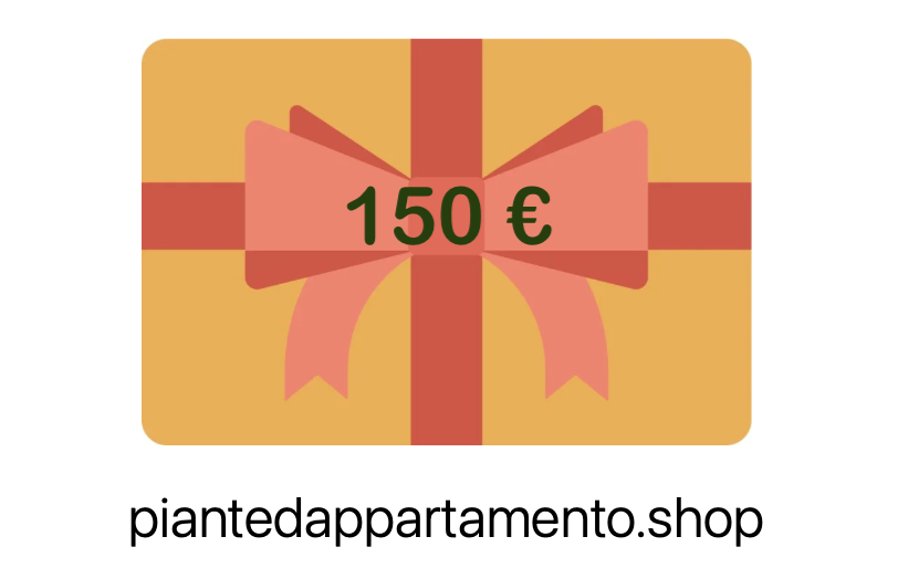 Buono Regalo piantedappartamento.shop - Perfetto per essere sempre in tempo e per il regalo giusto.