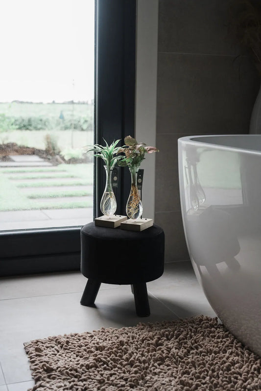 Gioielli di Luce - Zyngonium Neon Robusta - Vaso in vetro sospeso con luce