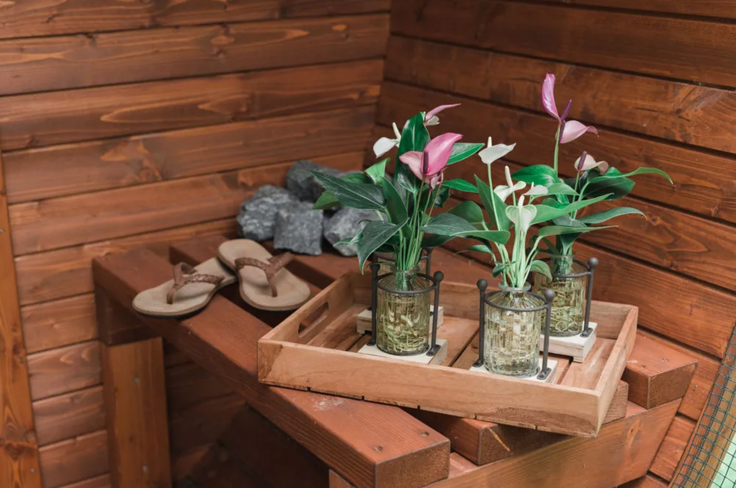 FLOWER JEWEL | HOUTEN RONDE HOUDER | ANTHURIUM