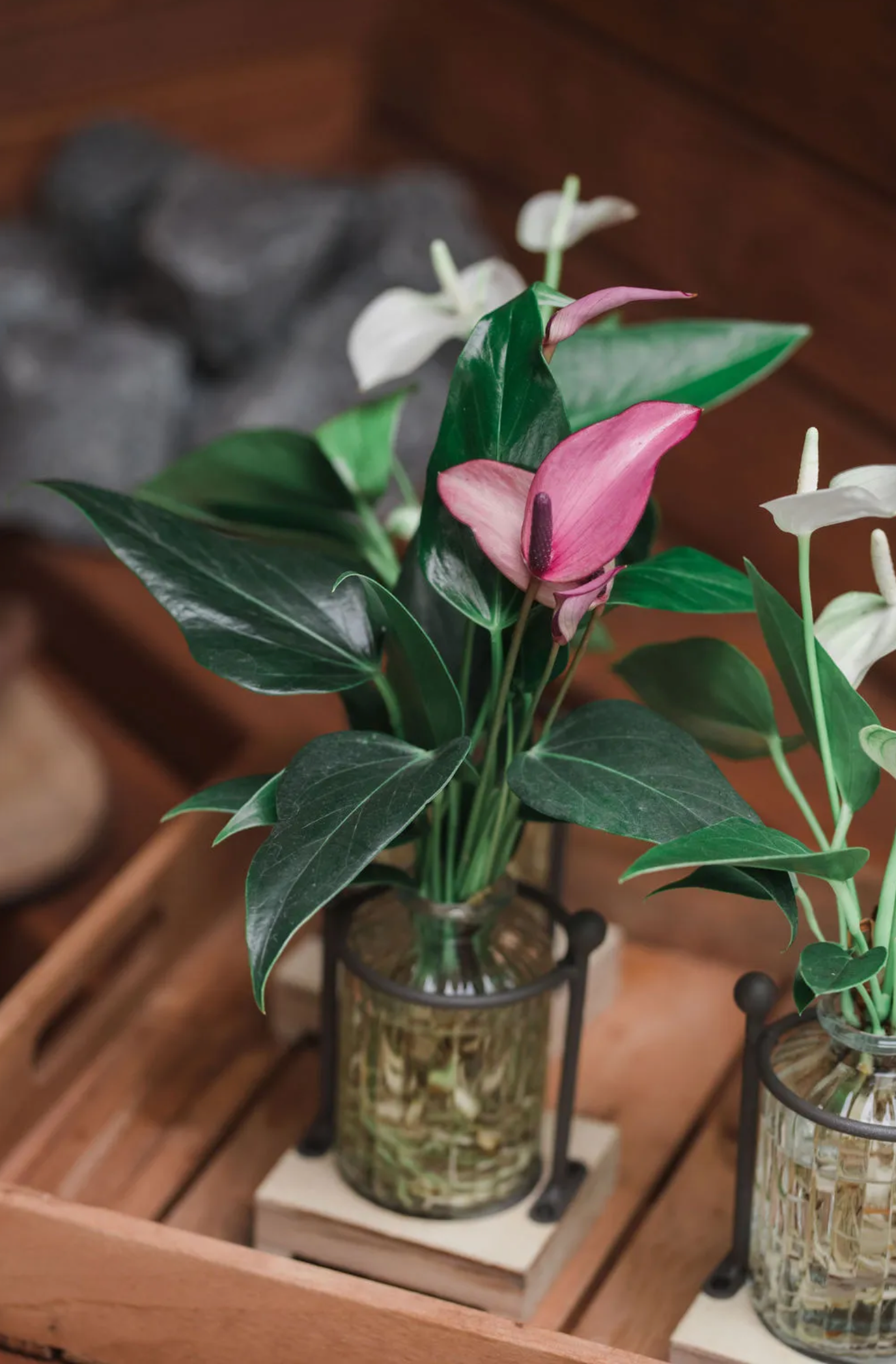 FLOWER JEWEL | HOUTEN RONDE HOUDER | ANTHURIUM