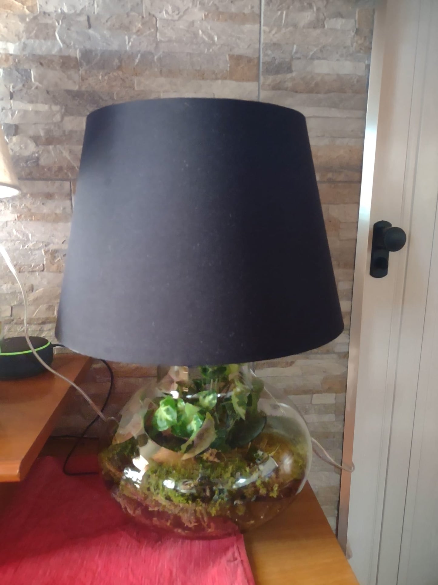 Terrarium Luce Filomena Plants