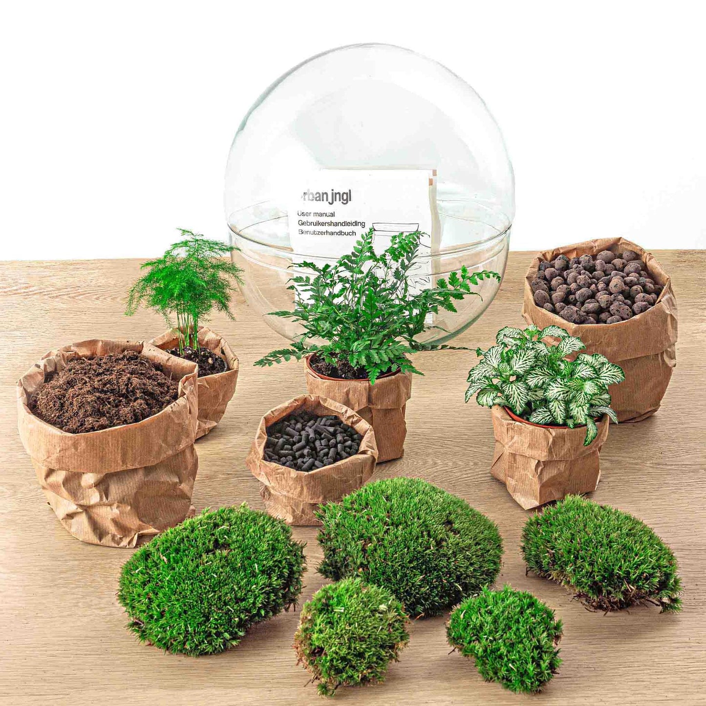 DIY Plant terrarium two-piece glass dome - Dome XL -Ø 28 cm ↑ 28 cm - Rake + Shovel + Tweezer + Scissors