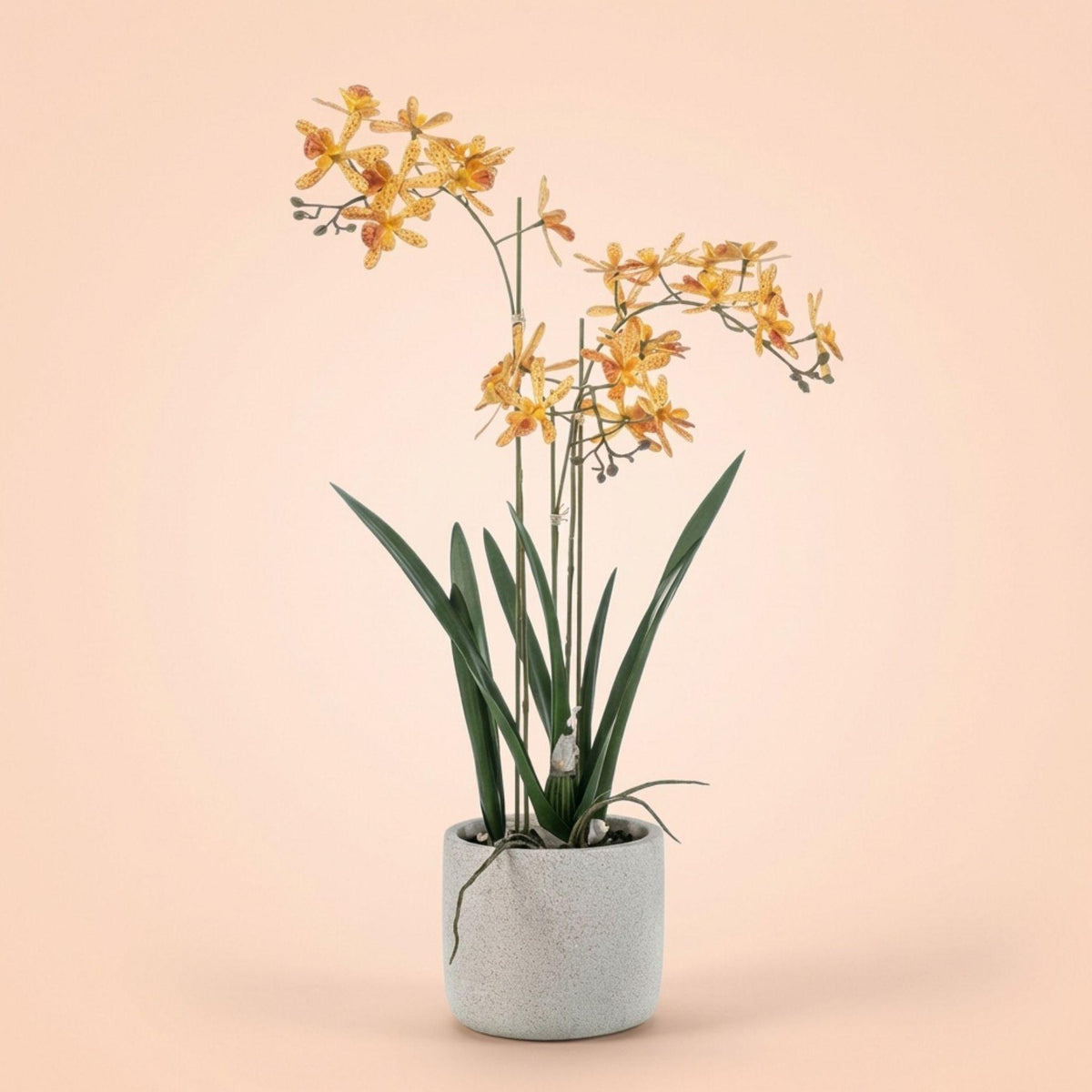 Artificial yellow and orange Renanthera orchid in pot – 56 cm