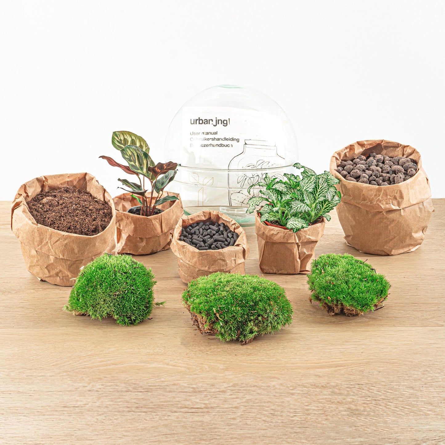 DIY Plant terrarium two-piece glass dome - Ø 20 cm ↑ 20 cm - Rake + Shovel + Tweezer + Scissors