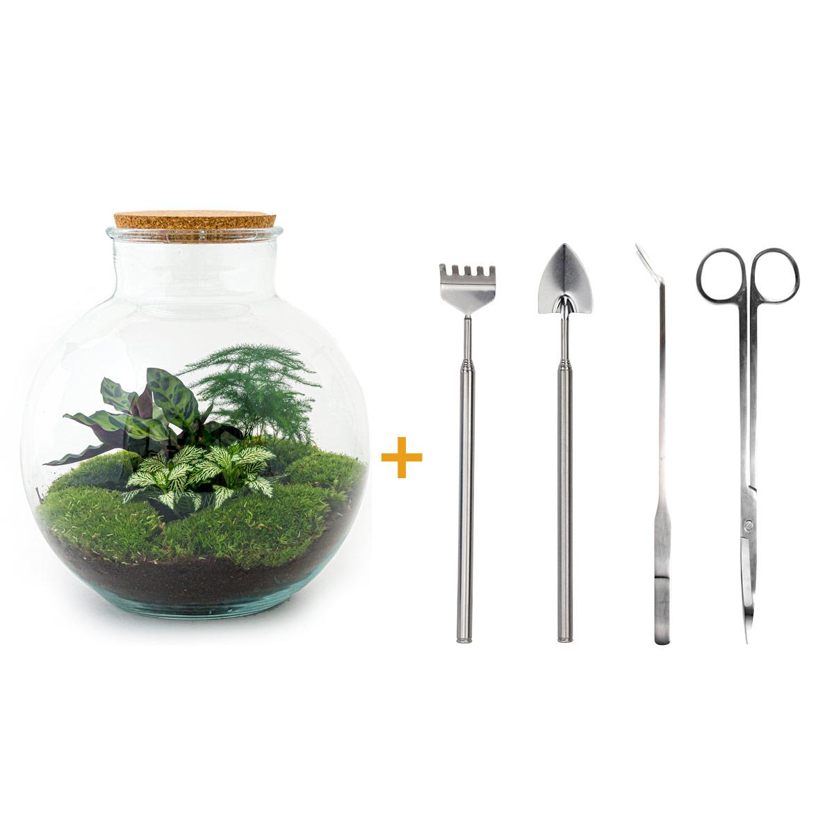 DIY Plant terrarium (with lighting) - Bolder Bob - Ø 31 cm ↑ 30 cm - Rake + Shovel + Tweezer + Scissors