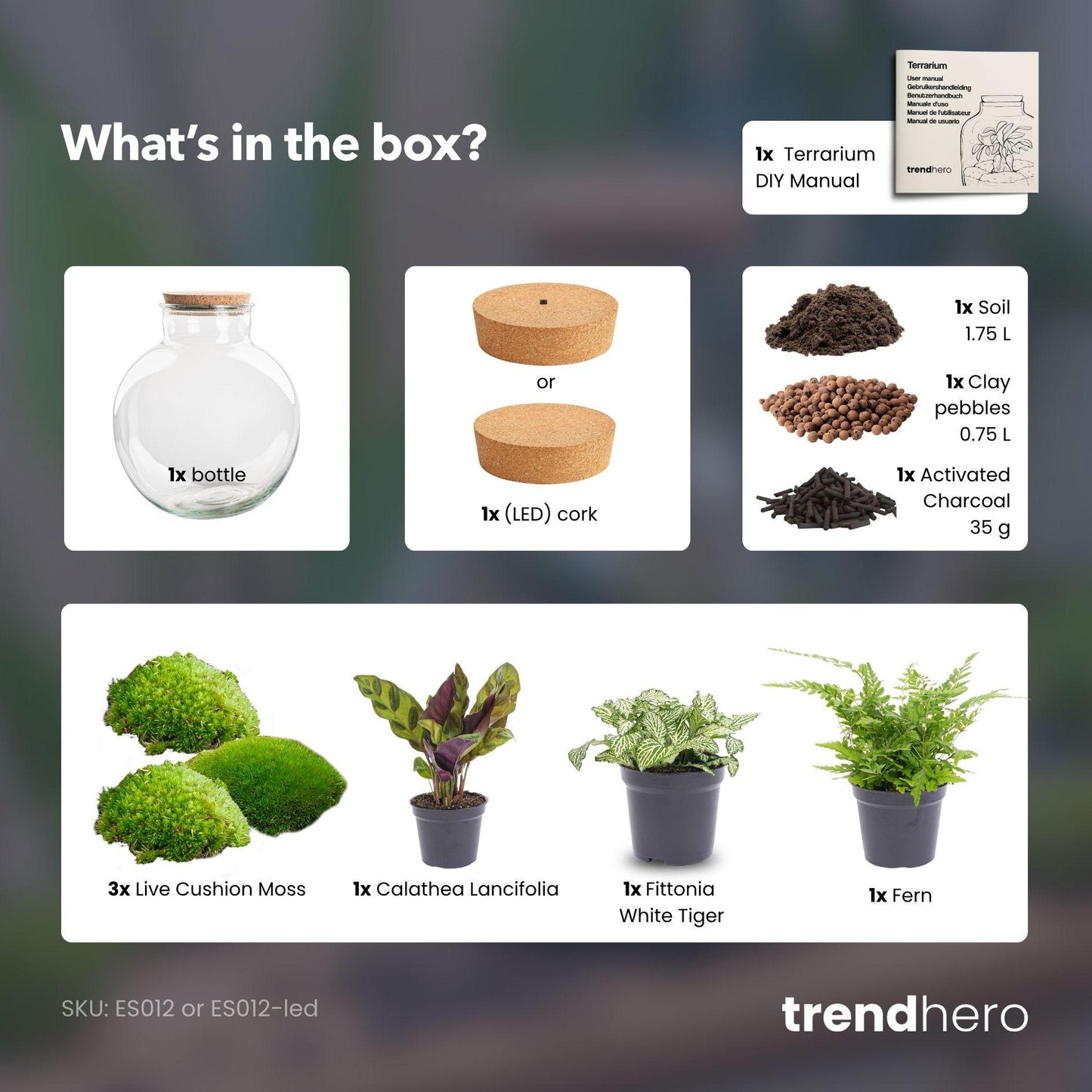 DIY Plant terrarium (with lighting) - Bolder Bob - Ø 31 cm ↑ 30 cm - With LED cork