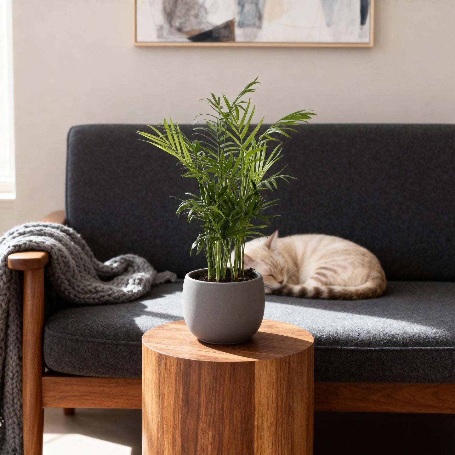 Green boutiQ - Kamerplant - Chamaedorea elegans - Goudpalm - Huisdiervriendelijk - Groen - 2 Planten - Pot 12cm - Hoogte 35-40cm