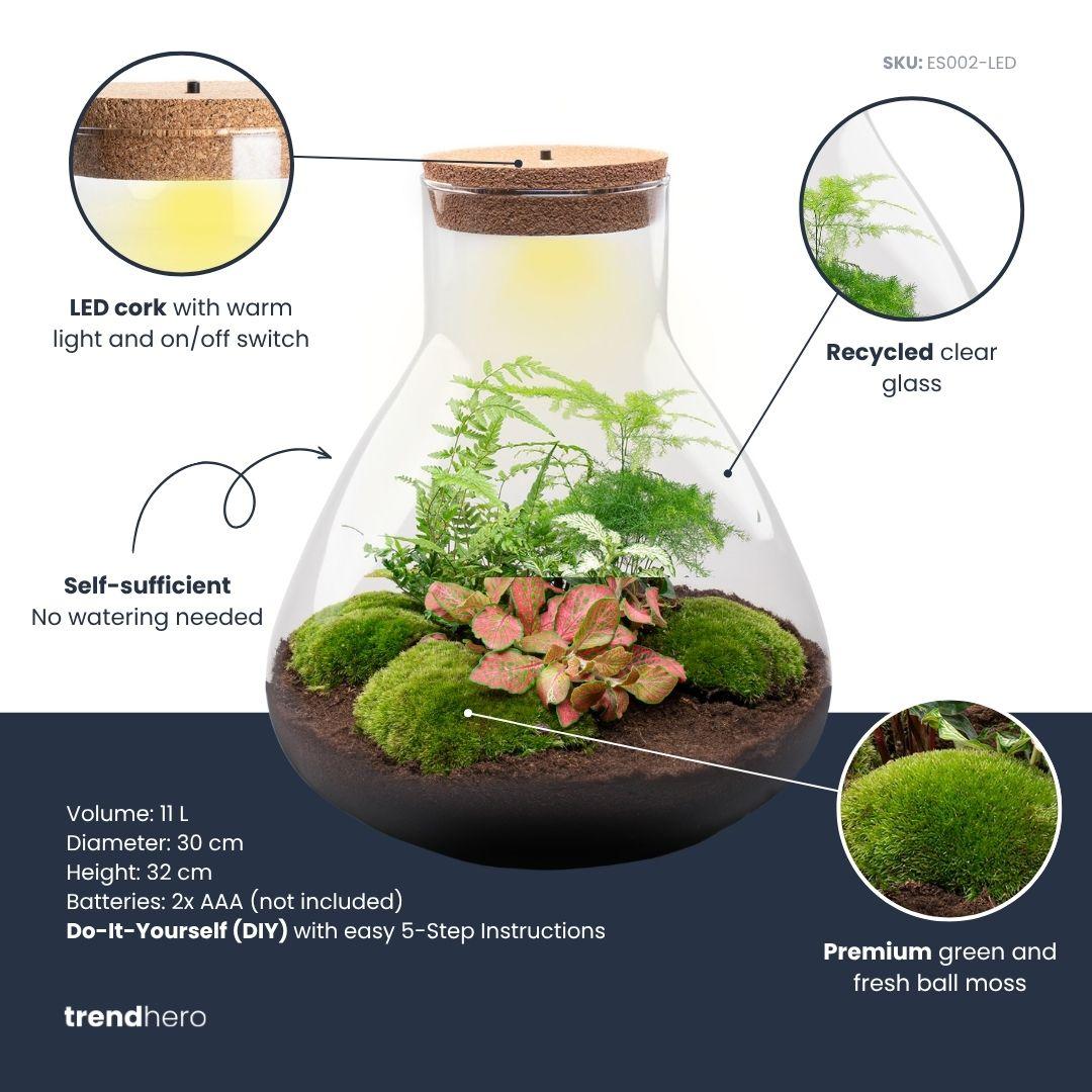 DIY Plant terrarium with light - Sam XL Red - Ø 30 cm ↑ 32 cm - No tools