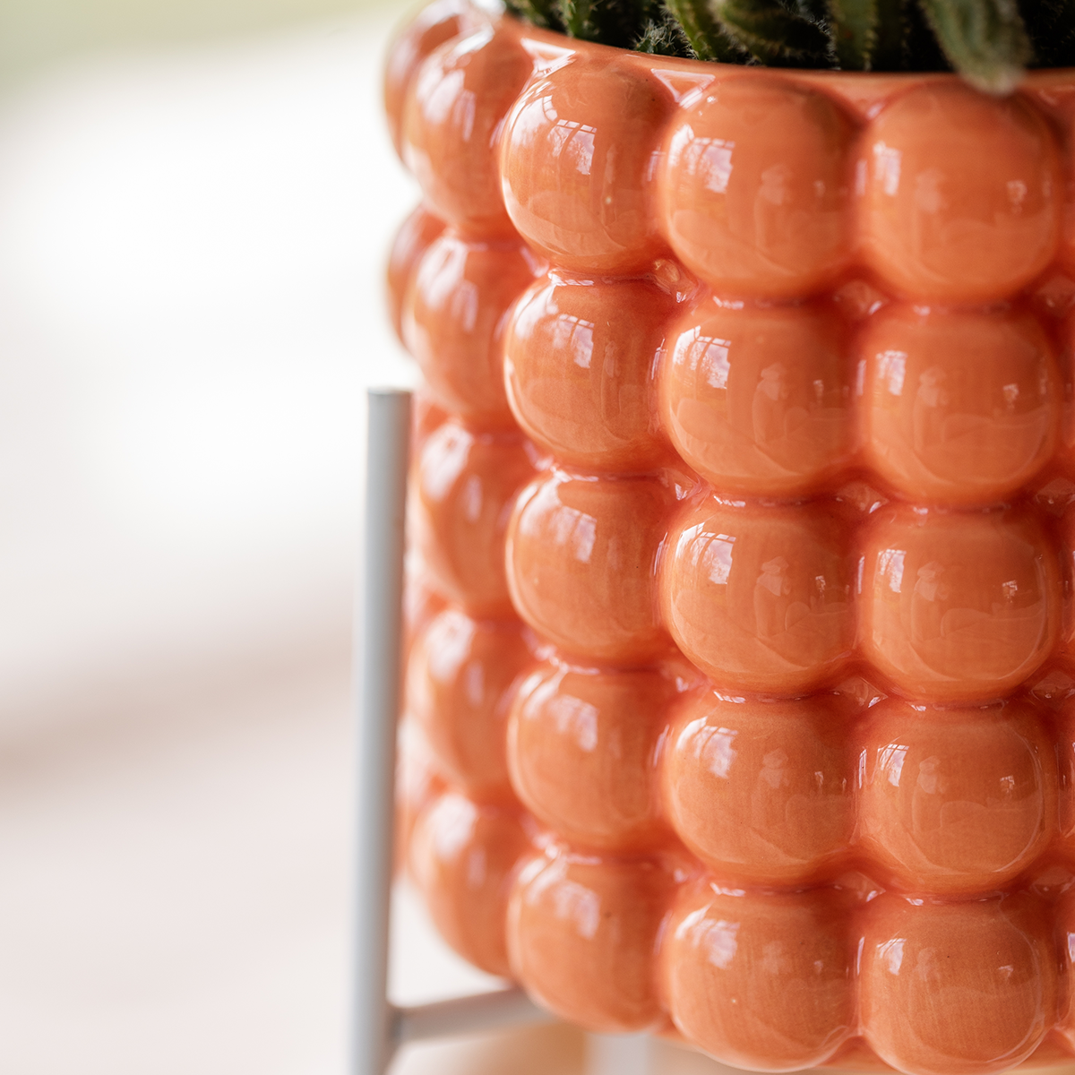 Kolibri Company | Plant Set Poppy Orange | Orange Orchid Jamaica and Succulent incl. ceramic decorative pots