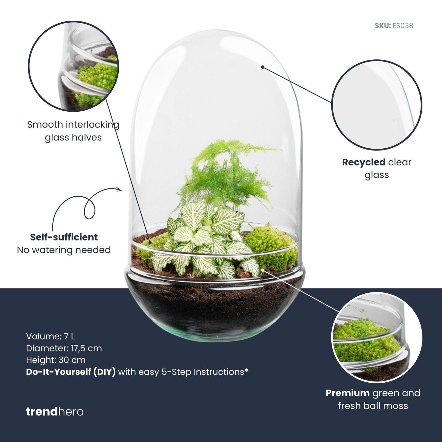 DIY Plant terrarium two-piece glass dome - Egg XL - Ø 17.5 cm ↑ 30 cm